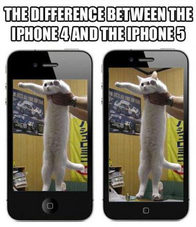 iPhone4 vs iPhone5