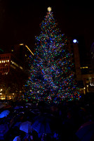 2012-11-22 Tree Lighting